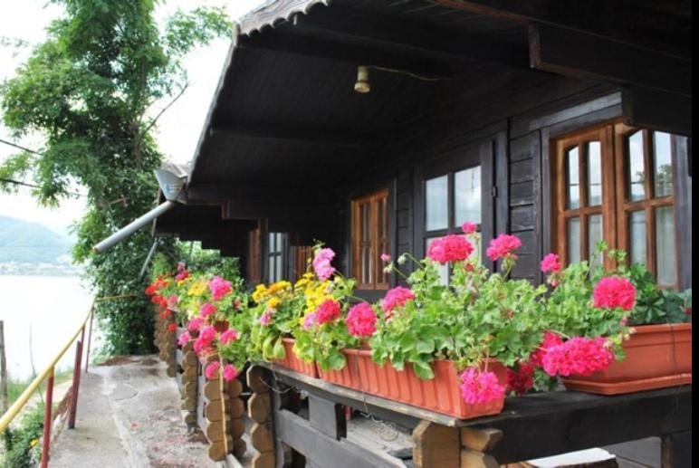 Gratca Nr 164 Orsova Villa Dış mekan fotoğraf