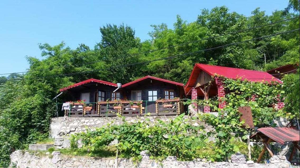 Gratca Nr 164 Orsova Villa Dış mekan fotoğraf