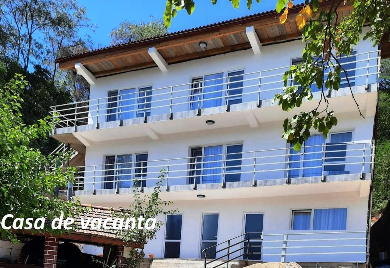 Gratca Nr 164 Orsova Villa Dış mekan fotoğraf