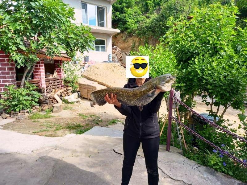 Gratca Nr 164 Orsova Villa Dış mekan fotoğraf