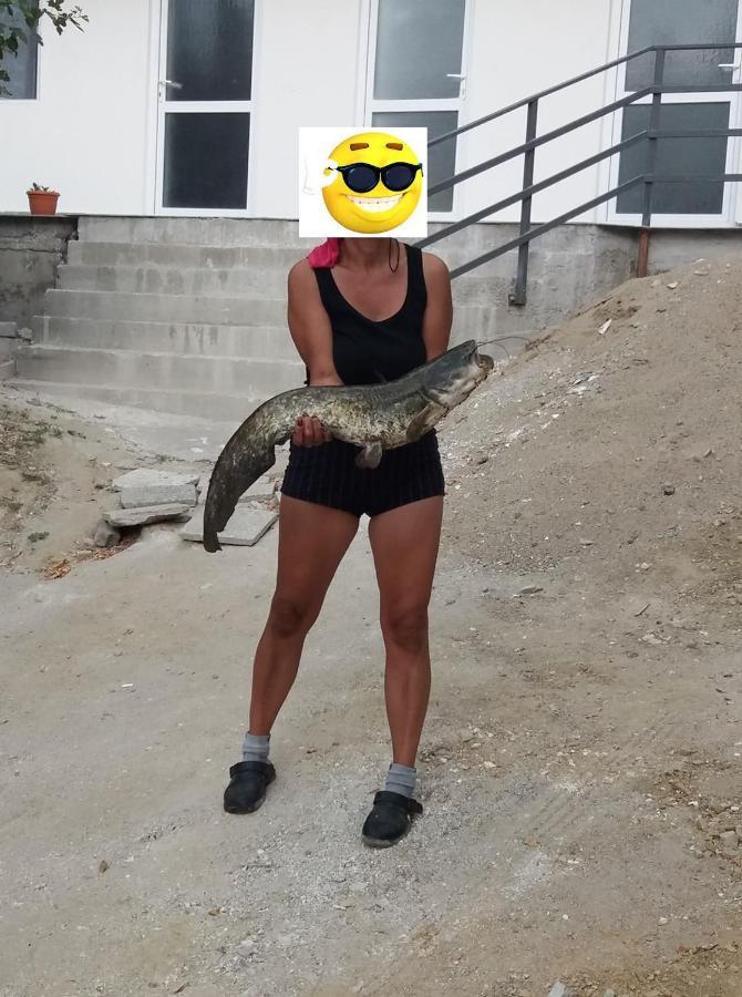 Gratca Nr 164 Orsova Villa Dış mekan fotoğraf